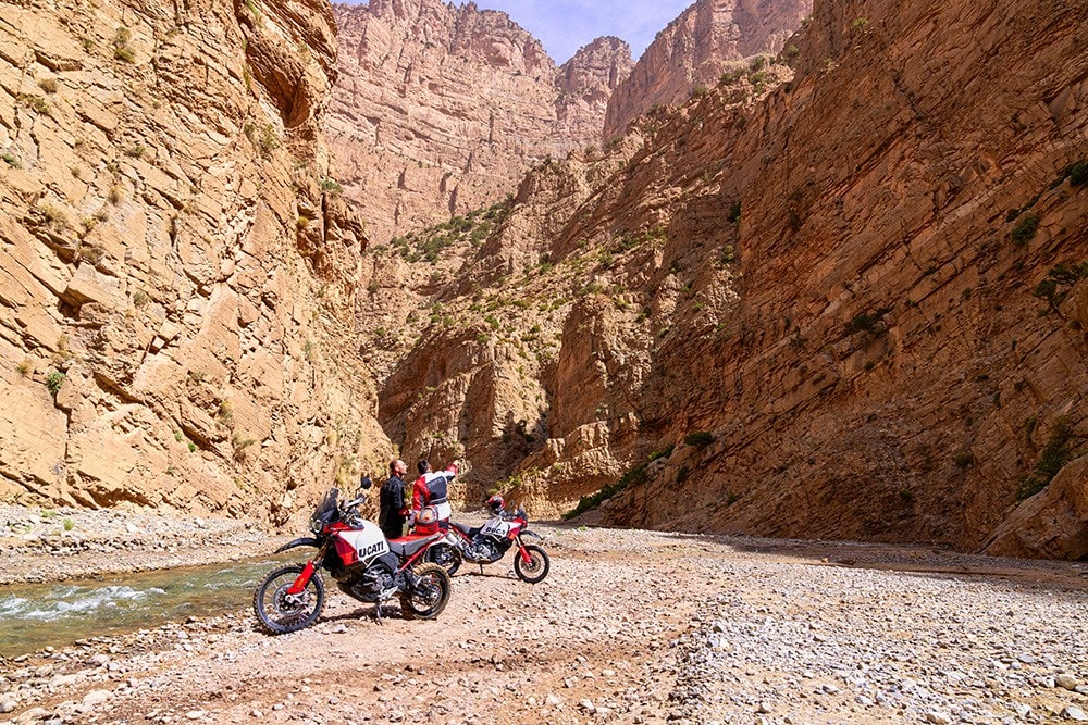 Ducati DesertX Rally: tutte le immagini